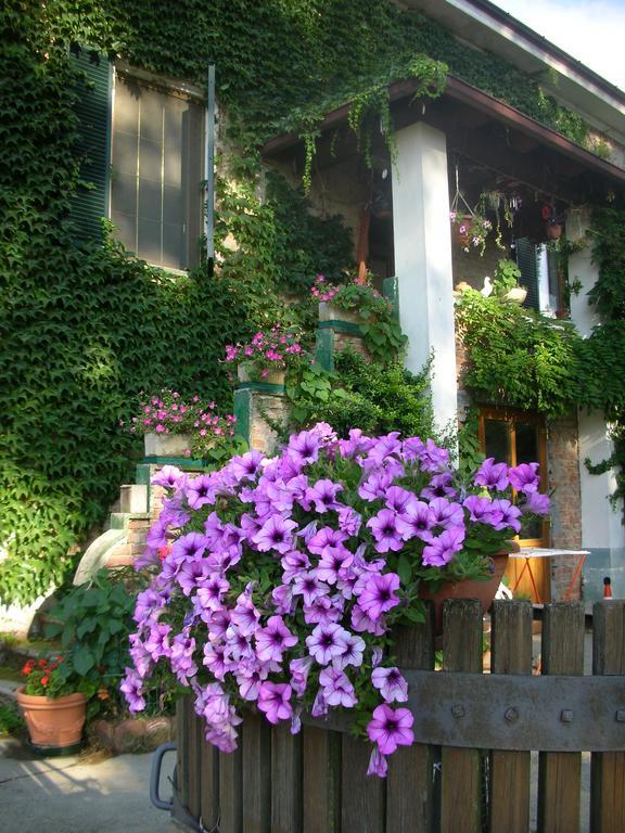 Cascina Beneficio Vila Castelnuovo Bormida Exterior foto